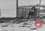 Image of Farm of Crow Native American Indian tribe Montana United States USA, 1921, second 53 stock footage video 65675041807