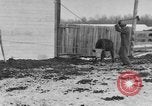 Image of Farm of Crow Native American Indian tribe Montana United States USA, 1921, second 54 stock footage video 65675041807