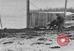 Image of Farm of Crow Native American Indian tribe Montana United States USA, 1921, second 56 stock footage video 65675041807
