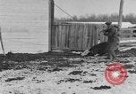Image of Farm of Crow Native American Indian tribe Montana United States USA, 1921, second 57 stock footage video 65675041807