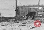 Image of Farm of Crow Native American Indian tribe Montana United States USA, 1921, second 59 stock footage video 65675041807
