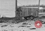 Image of Farm of Crow Native American Indian tribe Montana United States USA, 1921, second 61 stock footage video 65675041807