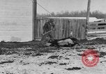 Image of Farm of Crow Native American Indian tribe Montana United States USA, 1921, second 62 stock footage video 65675041807