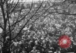 Image of Armistice Day Paris France, 1918, second 13 stock footage video 65675041808