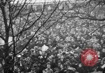 Image of Armistice Day Paris France, 1918, second 19 stock footage video 65675041808