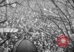 Image of Armistice Day Paris France, 1918, second 25 stock footage video 65675041808