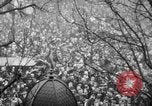 Image of Armistice Day Paris France, 1918, second 26 stock footage video 65675041808