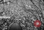 Image of Armistice Day Paris France, 1918, second 28 stock footage video 65675041808