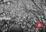 Image of Armistice Day Paris France, 1918, second 29 stock footage video 65675041808