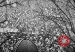 Image of Armistice Day Paris France, 1918, second 30 stock footage video 65675041808