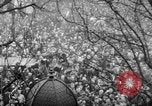 Image of Armistice Day Paris France, 1918, second 33 stock footage video 65675041808
