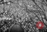 Image of Armistice Day Paris France, 1918, second 34 stock footage video 65675041808