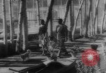 Image of Reza Shah Pahlavi Iran, 1943, second 11 stock footage video 65675041816