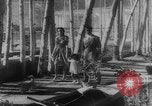 Image of Reza Shah Pahlavi Iran, 1943, second 12 stock footage video 65675041816