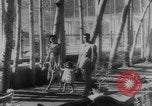 Image of Reza Shah Pahlavi Iran, 1943, second 13 stock footage video 65675041816