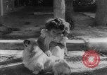 Image of Reza Shah Pahlavi Iran, 1943, second 16 stock footage video 65675041816