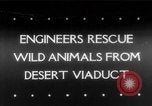 Image of Irrigation Engineers United States USA, 1943, second 1 stock footage video 65675041818