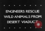 Image of Irrigation Engineers United States USA, 1943, second 6 stock footage video 65675041818