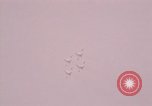 Image of Paris Air Show Paris France, 1971, second 37 stock footage video 65675041828