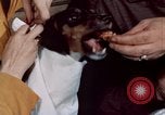 Immagine di Il cibo italiano New York City USA, 1956, secondo 58 filmato di repertorio 65675041849