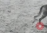 Immagine di Gli agricoltori Bank North Carolina United States USA, 1934, secondo 8 filmato di repertorio 65675041856