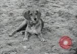 Immagine di Gli agricoltori Bank North Carolina United States USA, 1934, secondo 18 filmato di repertorio 65675041856