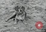 Immagine di Gli agricoltori Bank North Carolina United States USA, 1934, secondo 19 filmato di repertorio 65675041856