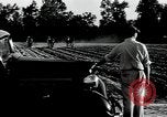 Image of African American workers North Carolina United States USA, 1934, second 8 stock footage video 65675041858