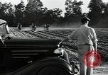 Image of African American workers North Carolina United States USA, 1934, second 9 stock footage video 65675041858