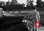Image of African American workers North Carolina United States USA, 1934, second 10 stock footage video 65675041858