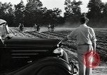 Image of African American workers North Carolina United States USA, 1934, second 14 stock footage video 65675041858