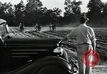 Image of African American workers North Carolina United States USA, 1934, second 15 stock footage video 65675041858