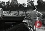 Image of African American workers North Carolina United States USA, 1934, second 19 stock footage video 65675041858