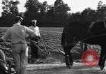 Image of African American workers North Carolina United States USA, 1934, second 54 stock footage video 65675041858
