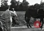 Image of African American workers North Carolina United States USA, 1934, second 55 stock footage video 65675041858