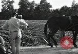 Image of African American workers North Carolina United States USA, 1934, second 56 stock footage video 65675041858