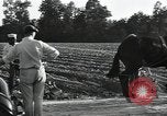 Image of African American workers North Carolina United States USA, 1934, second 57 stock footage video 65675041858