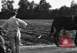 Image of African American workers North Carolina United States USA, 1934, second 58 stock footage video 65675041858