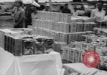 Image Edward Kennedy le Vietnam du Sud, 1965, de la seconde 44 séquences d'archives historiques vidéo 65675041873