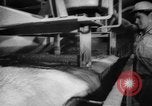Image des mines de molybdène Canada, 1965, de la seconde 60 séquences d'archives historiques vidéo 65675041875