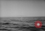 Image Isaac Papke Farallon Island California USA, 1965, de la seconde 23 séquences d'archives historiques vidéo 65675041876