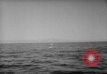 Image Isaac Papke Farallon Island California USA, 1965, de la seconde 24 séquences d'archives historiques vidéo 65675041876
