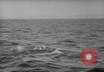 Image Isaac Papke Farallon Island California USA, 1965, de la seconde 30 séquences d'archives historiques vidéo 65675041876