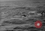 Image Isaac Papke Farallon Island California USA, 1965, de la seconde 34 séquences d'archives historiques vidéo 65675041876