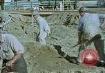 Standbild Golden Gate Ausstellung Treasure Island California USA, 1939, aus Sekunde 59 historischem Filmmaterial Videoclip 65675041889