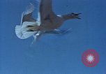 Image of Federal theater San Francisco California USA, 1939, second 53 stock footage video 65675041894