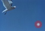 Image of Federal theater San Francisco California USA, 1939, second 54 stock footage video 65675041894