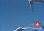 Image of Federal theater San Francisco California USA, 1939, second 55 stock footage video 65675041894