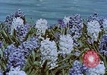 Standbild Federal Theater San Francisco California USA, 1939, aus Sekunde 54 historischem Filmmaterial Videoclip 65675041895