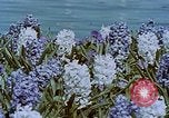 Standbild Federal Theater San Francisco California USA, 1939, aus Sekunde 55 historischem Filmmaterial Videoclip 65675041895